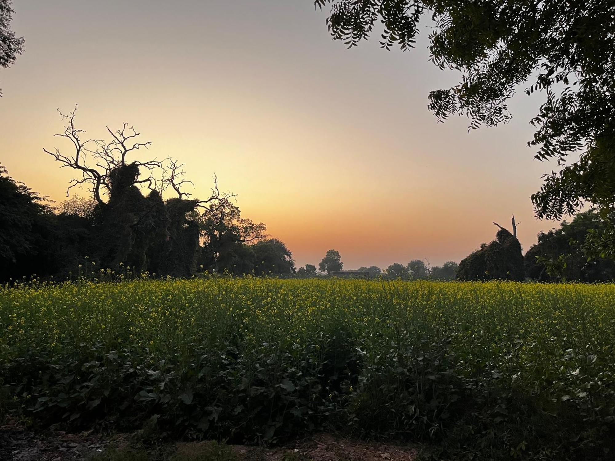 Sharad Baug Homestay ภุช ภายนอก รูปภาพ