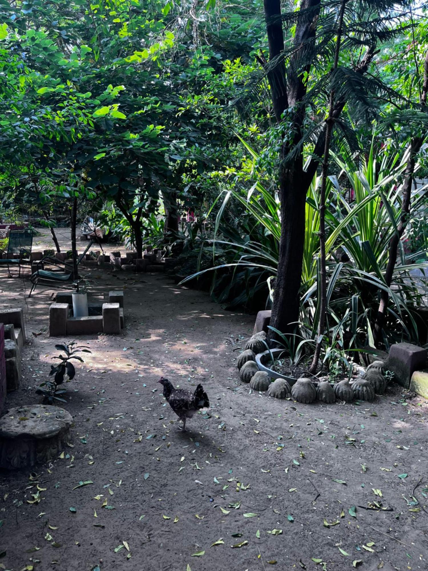 Sharad Baug Homestay ภุช ภายนอก รูปภาพ